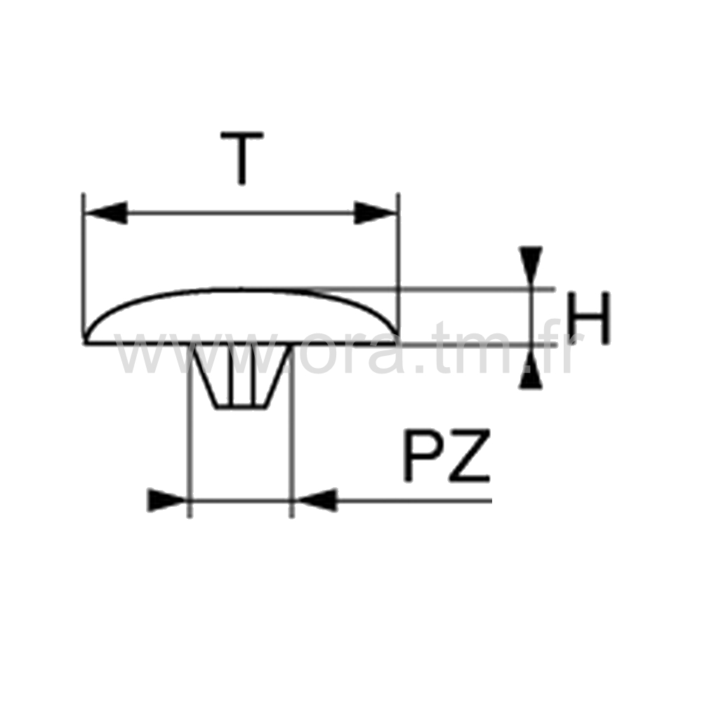 CVPZ - CACHE VIS ECROU RIVET - PRISE POZYDRIVE