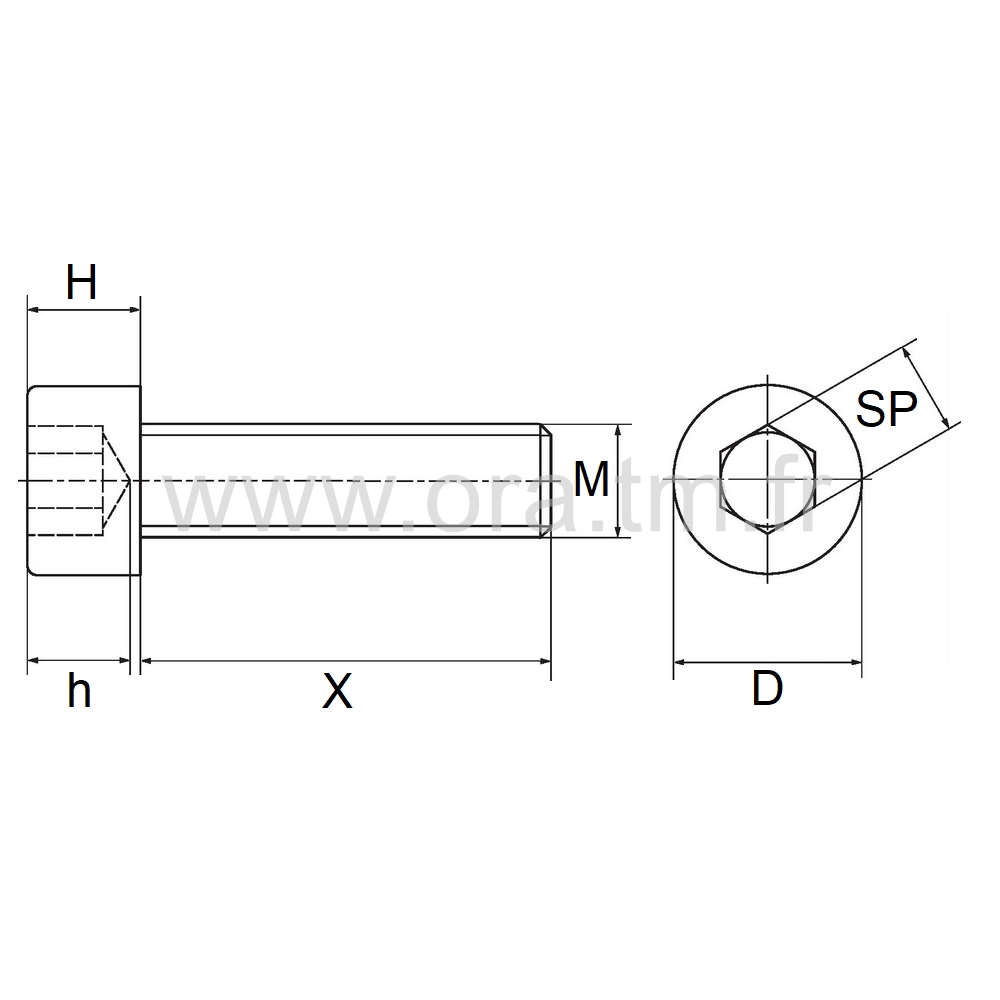 VCHC - VIS PLASTIQUE - TETE RONDE SIX PANS CREUX