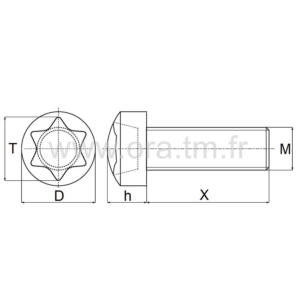 VCTX - VIS PLASTIQUE - TETE BOMBEE PRISE TORX